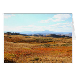 Campo castaño de Yellowstone