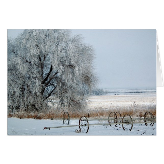 Campo congelado (Anverso (Horizontal))