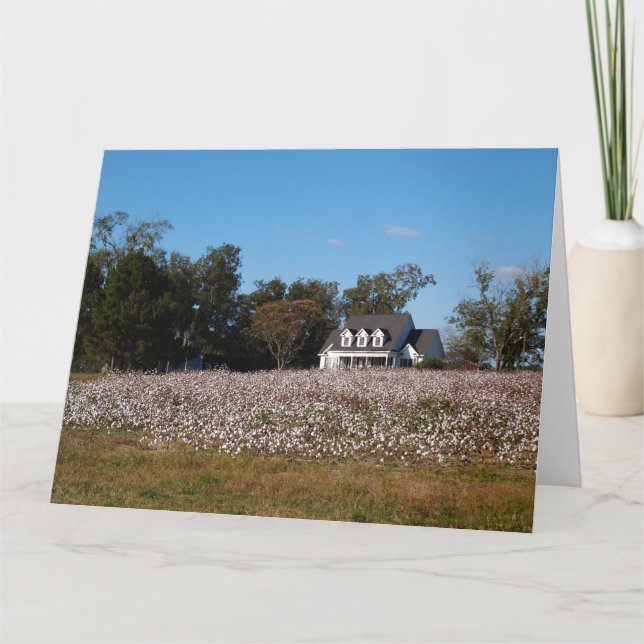 Campo de algodón en Georgia con tarjeta de casa (Anverso)