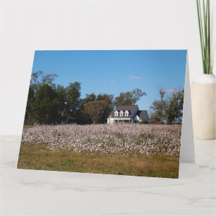 Campo de algodón en Georgia con tarjeta de casa