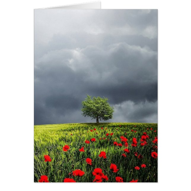 Campo de amapola y cielo nublado (Frente)