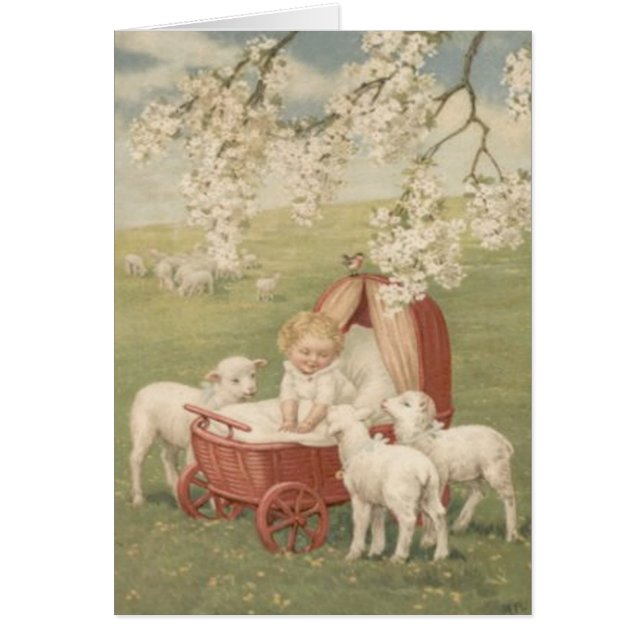 Campo de árbol Dogwood de cordero para bebés (Frente)