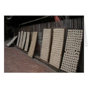 Campo de arroz de Laotia