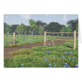 Campo de Bluebonnets