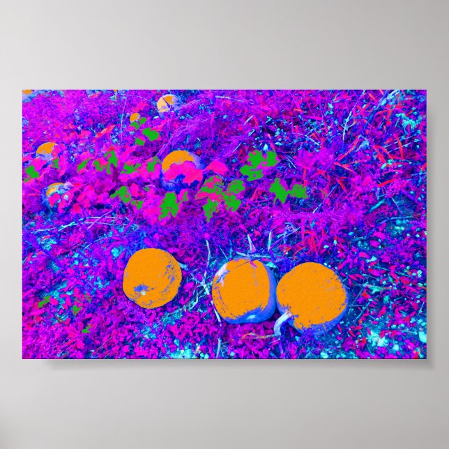 Campo de calabaza morada al estilo de arte pop (Frente)