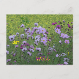 Campo de Cosmea y Colza Cúrate Pronto Tarjeta Post
