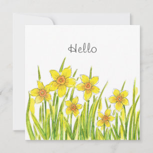 Campo de Daffodils