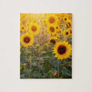 CAMPO DE DESLIZAMIENTO 8X10 JIGSAW PUZZLE