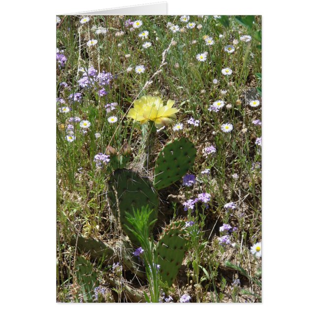 Campo de flores (Frente)