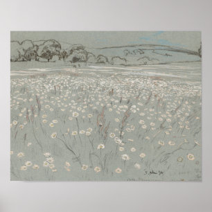 Campo de flores blancas y azules impresión de arte