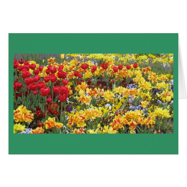 Campo de flores de primavera (Anverso (Horizontal))
