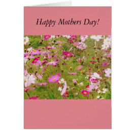 Campo De Flores Rosa