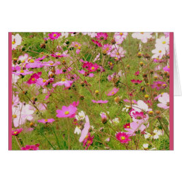 Campo De Flores Rosa