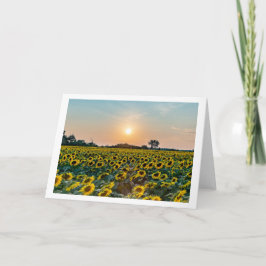 "Campo de flores" tarjeta de felicitación plegada