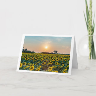 "Campo de flores" tarjeta de felicitación plegada