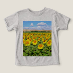 Campo de girasol