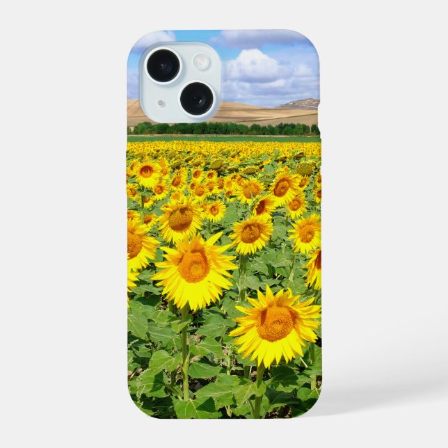Campo de girasoles (Reverso )