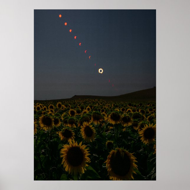 Campo de Girasoles Celestiales Arte Impreso  (Frente)