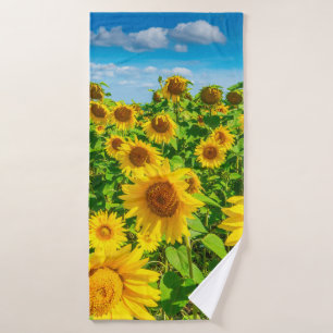Campo de girasoles en verano soleado. Picturesco l