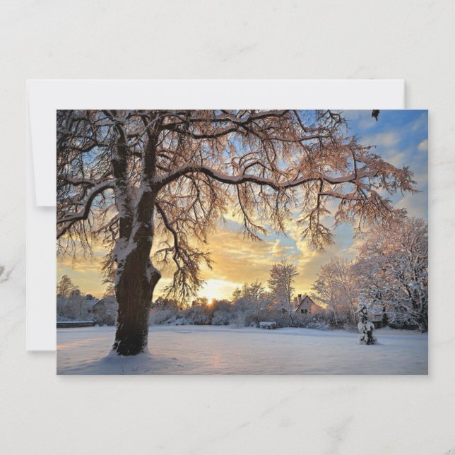 Campo De Invierno En Letonia (Anverso)