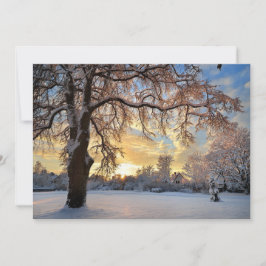 Campo De Invierno En Letonia