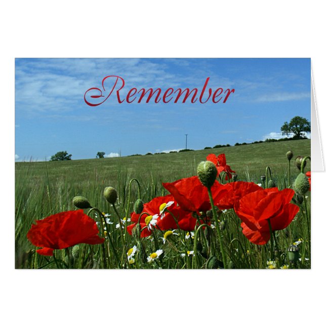 Campo de la amapola del día de la conmemoración (Anverso (Horizontal))