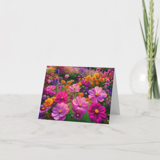 Campo de la flor silvestre Radiance (Anverso)