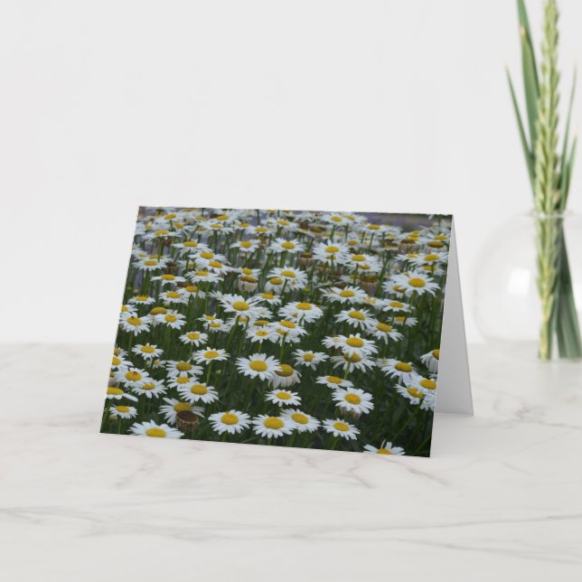 Campo de la tarjeta de felicitación de las flores (Anverso)