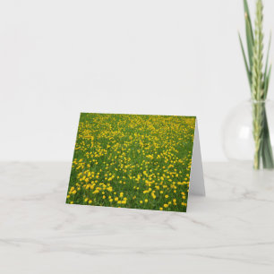 Campo de la tarjeta en blanco de Dandelions