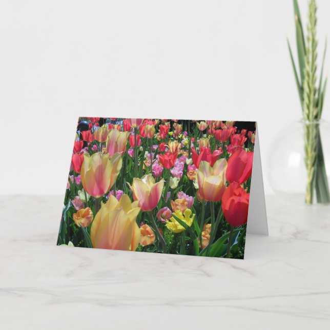 Campo de la tarjeta Tulips (Anverso)