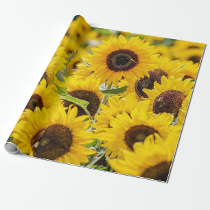 Campo de los girasoles Diseño Papel de envolver