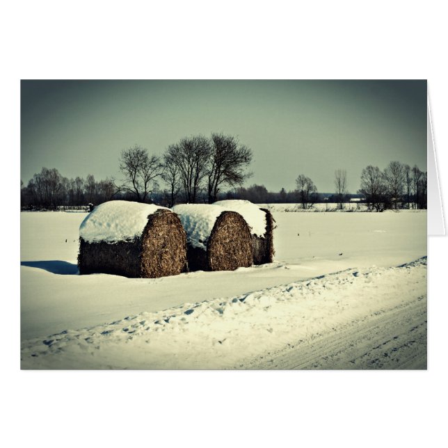 Campo de nieve (Anverso (Horizontal))