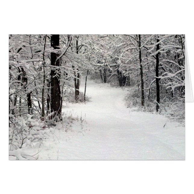 Campo de nieve en Vermont IL (Anverso (Horizontal))