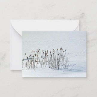 Campo de nieve - Tarjetas de nota