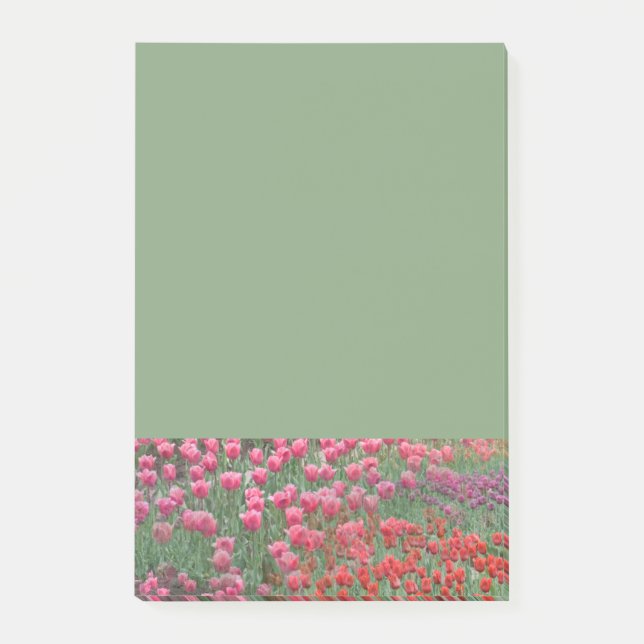 Campo De Notas Post-it De Tulips (Anverso)