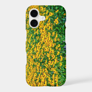 Campo de Rudbeckia Hirta y Lavanda