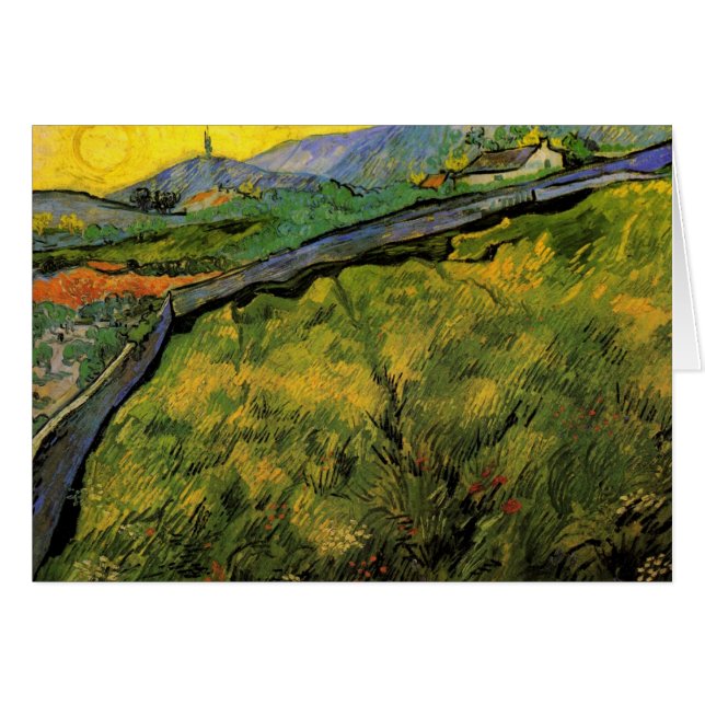 Campo de trigo en primavera, amanecer de Vincent v (Anverso (Horizontal))