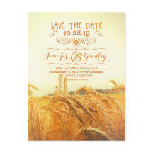 campo de trigo romántico salve las postales de fec