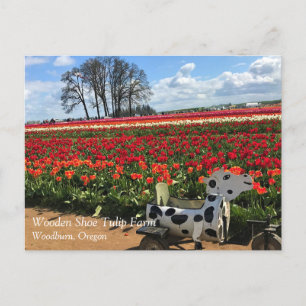 Campo de tulipán con vaca de juguete, postal de Or