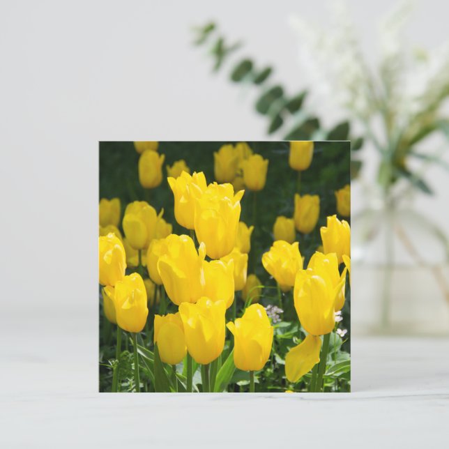 Campo de tulipanes amarillo brillante (Anverso de pie)