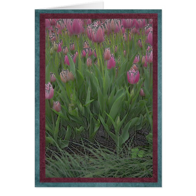 Campo de tulipanes rosados (Frente)