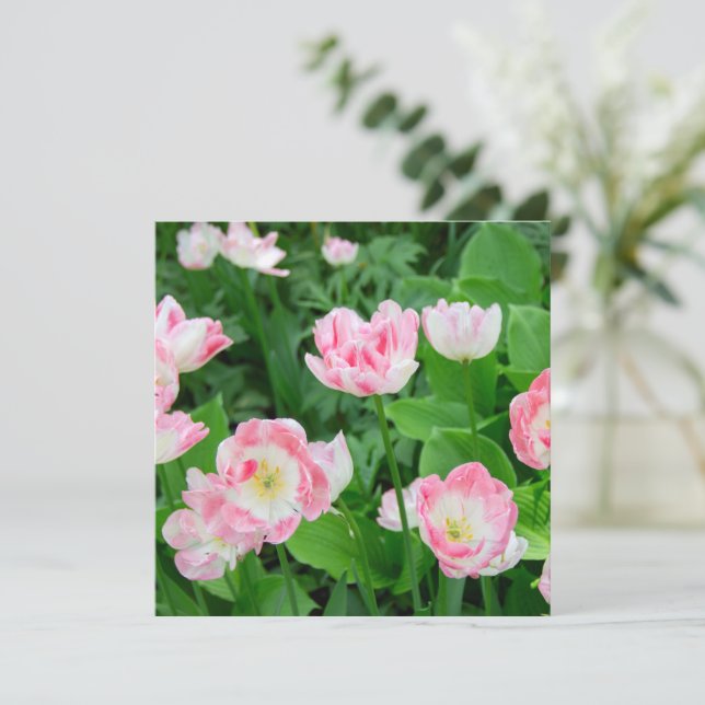 Campo de tulipanes rosados (Anverso de pie)