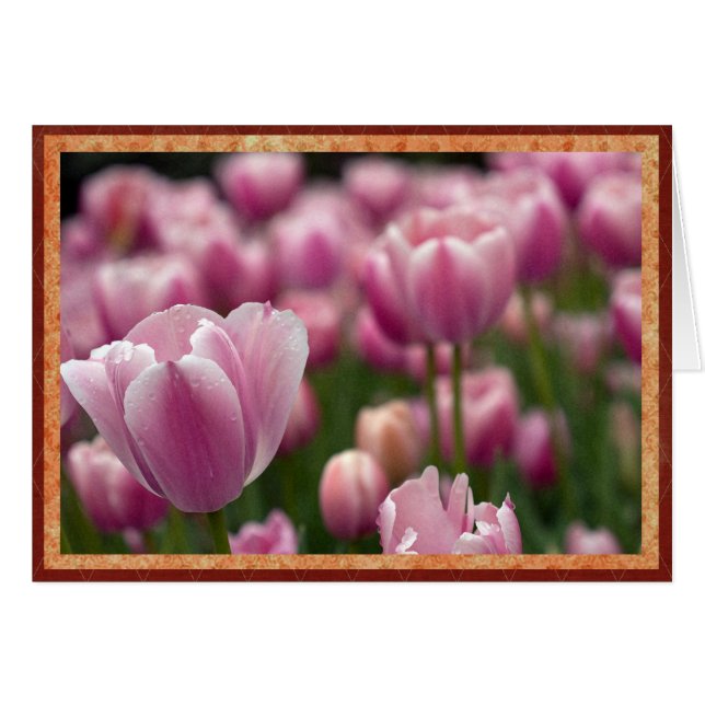 Campo de tulipanes rosados (Anverso (Horizontal))