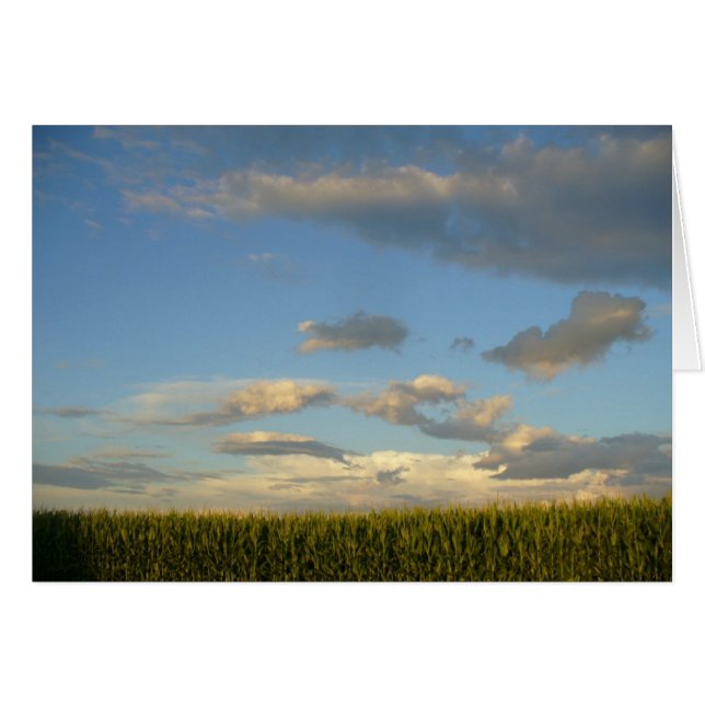 Campo de verano (Anverso (Horizontal))