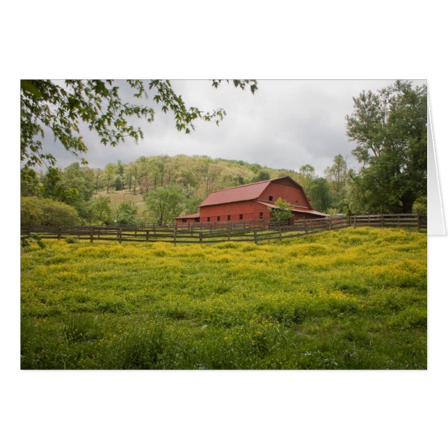 Campo de verdes (Anverso (Horizontal))