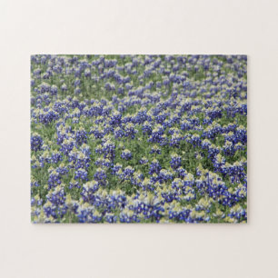 Campo del Bluebonnet del rompecabezas