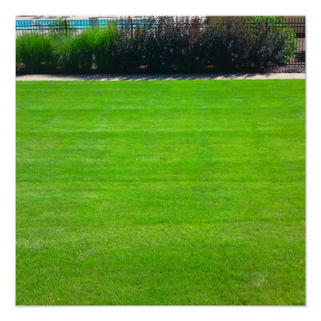 Campo del Poster perfecto de hierba (Anverso)