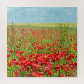 Campo Del Rompecabezas De Los Poppies