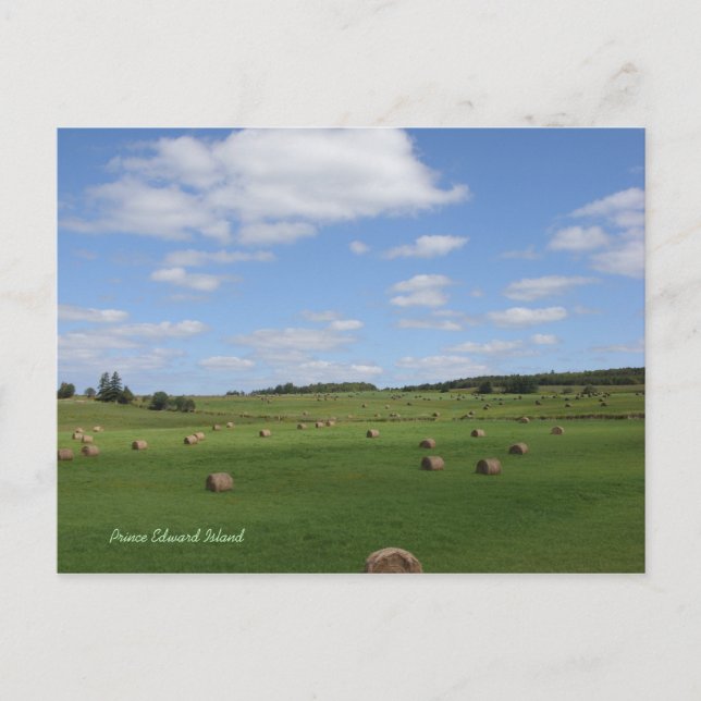 Campo en postal PEI (Anverso)