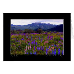 Campo Lupine en la carta de la franconia